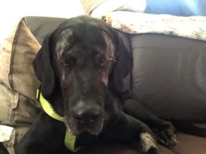 homme paie chirurgie