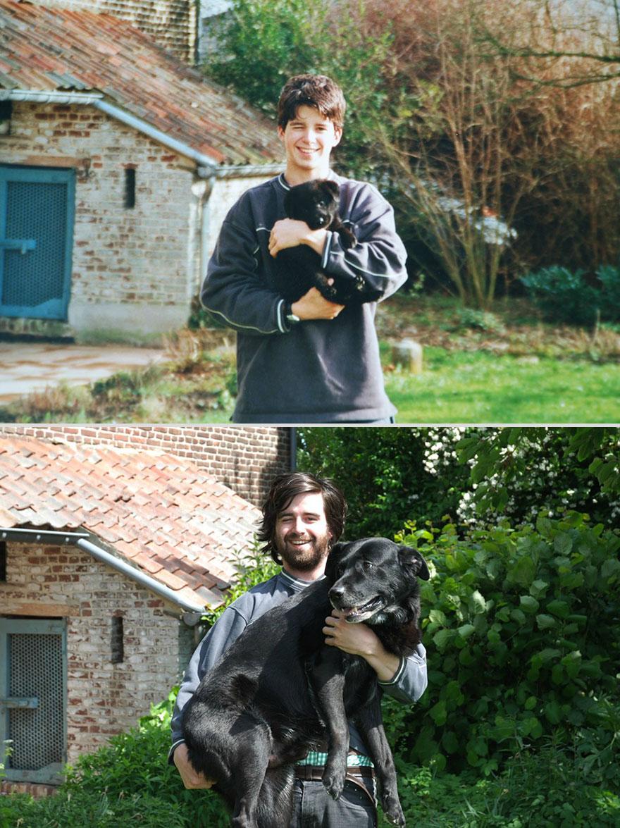 pets-before-after-7-1