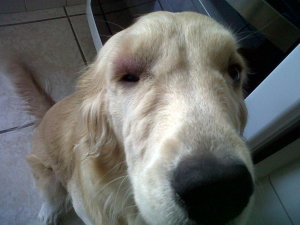 IMG00053-20110805-0759