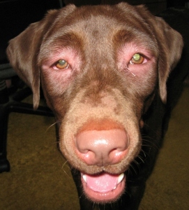 enhanced-26873-1394710188-11