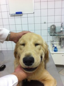 rsz_photo_30-04-13_18_12_51_1