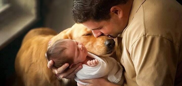 20 vérités sur les chiens