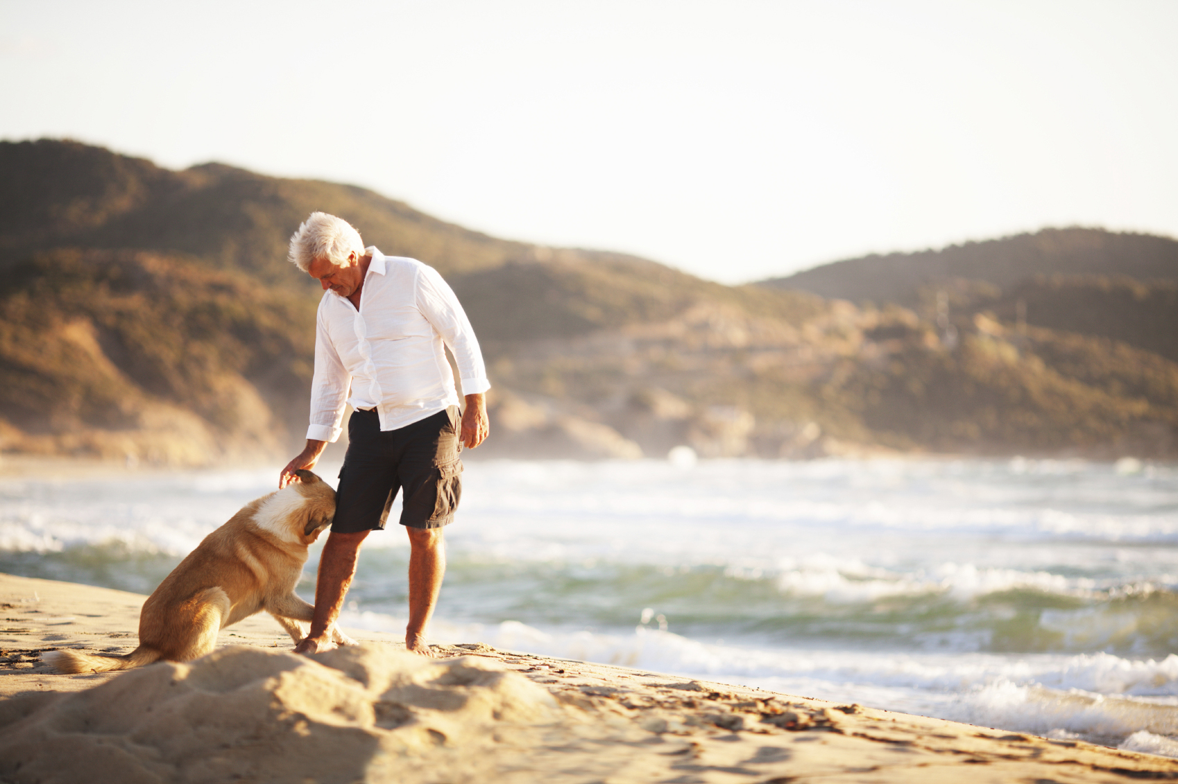 Need-a-Friend-Get-a-Dog