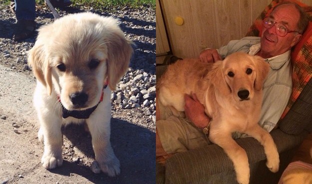 enhanced-3428-1421090133-2