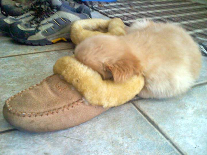 et-ils-trouvent-les-meilleures-cachettes