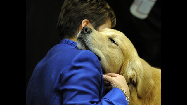 ils-ne-sentendent-pas-du-tout-avec-les-humains