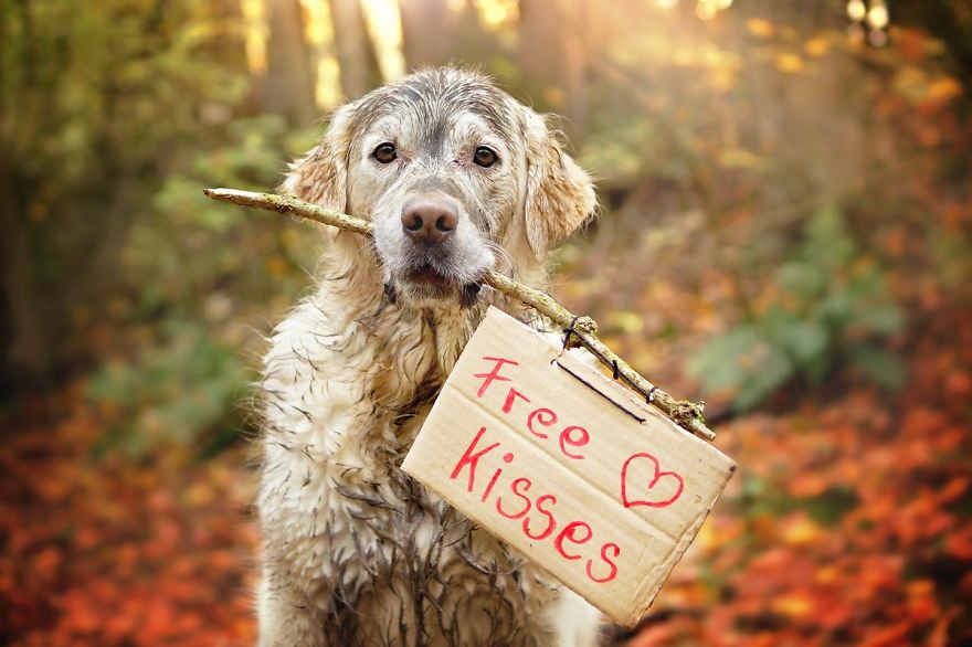 une-flaque-de-boue-ou-vous-ils-choisissent-la-boue