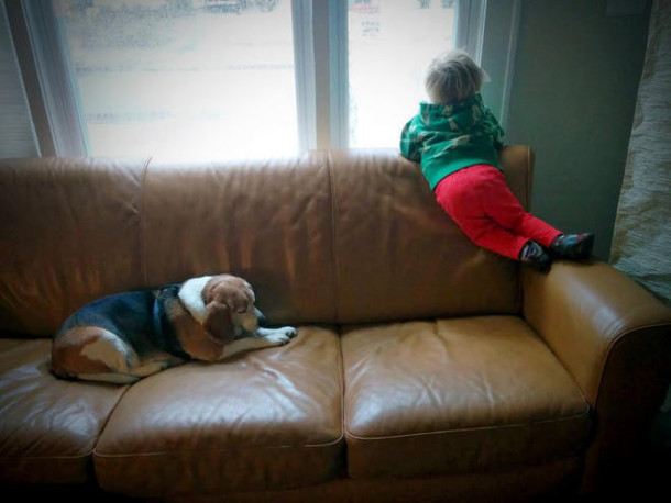 roberto-et-luke-westbrook-chien-paradis-4-L-610x458