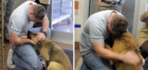 retrouvailles 7 mois