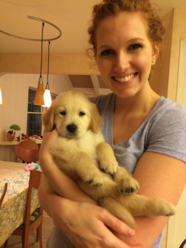 chien appareil dentaire 4