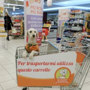 chien chariot supermarché