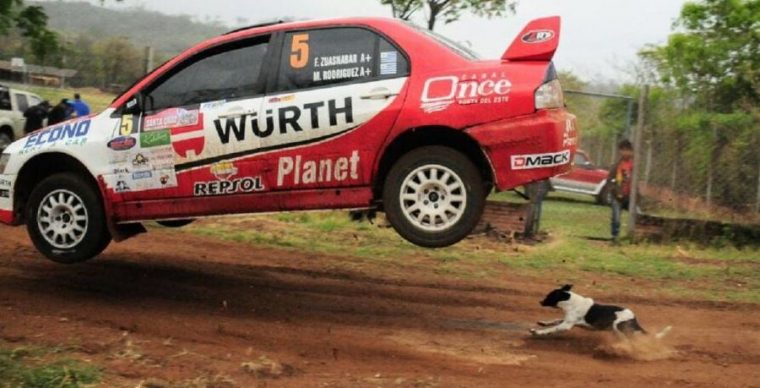 rallye chien chanceux