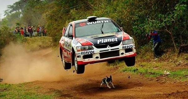 rallye chien chanceux