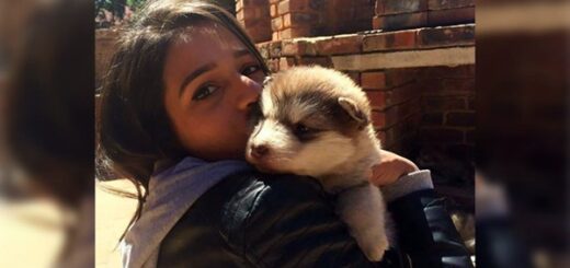 Elle adopte un adorable chiot