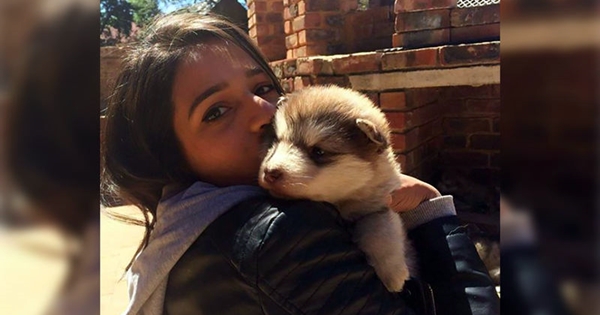 Elle adopte un adorable chiot