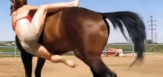 femme difficultés à monter sans selle