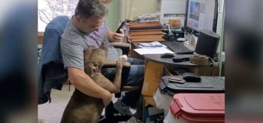 la-femme-filme-son-mari-chanter-une-chanson-pour-leur-chien