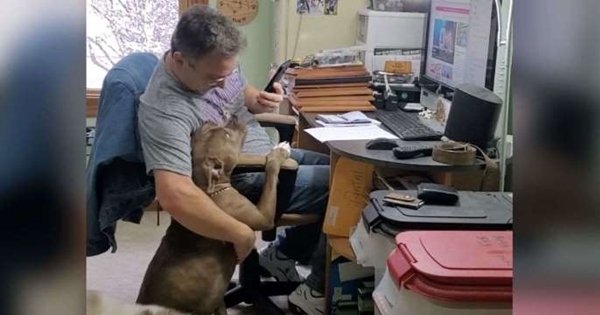 la-femme-filme-son-mari-chanter-une-chanson-pour-leur-chien