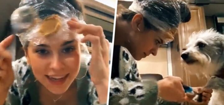 chien griffes beurre d’arachide