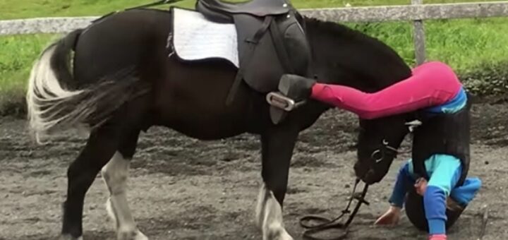 poney aide petite fille