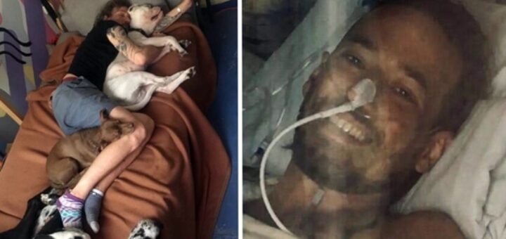 acteur français puits chien