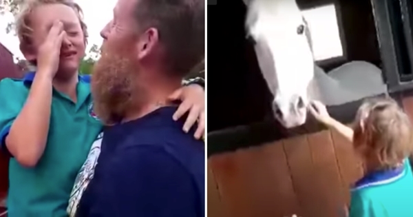 enfant pleur surprise cheval