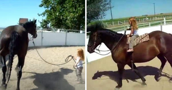 petite fille cheval sans selle