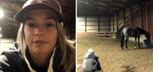 fille pleure cheval réaction