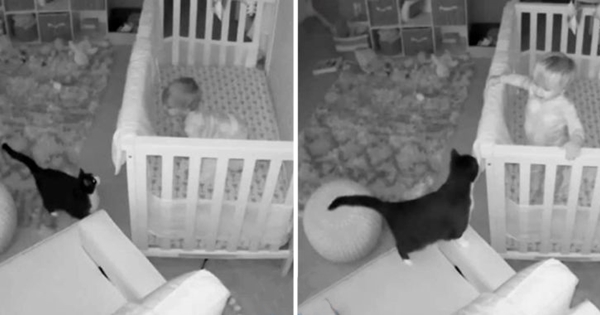 bébé conversation chat