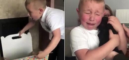 petit garçon surprise nouveau chiot