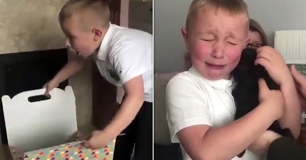 petit garçon surprise nouveau chiot