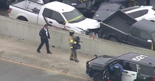 chien pompier carambolage