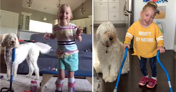 chien reaction marcher premiere fois