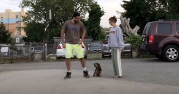 chien doit choisir lequel des maitres suivre