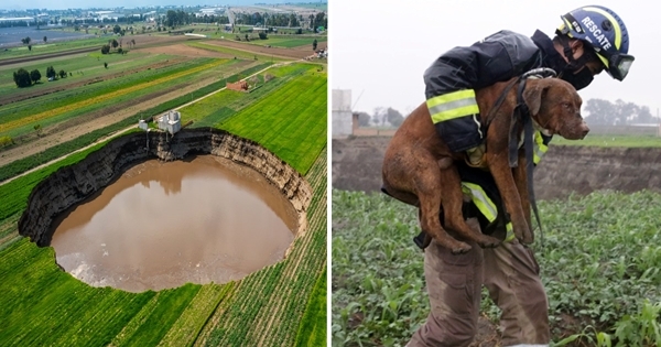 sauvetage chien gouffre mexique
