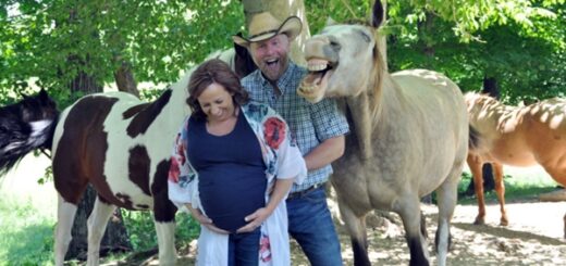 cheval énorme sourire