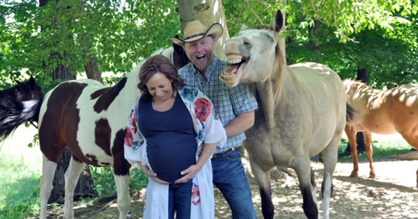 cheval énorme sourire