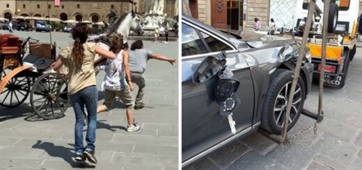 cheval se libère de la calèche