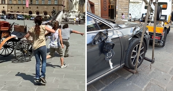 cheval se libère de la calèche