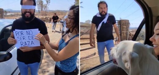 femme abandonne son petit ami à cause de son chien