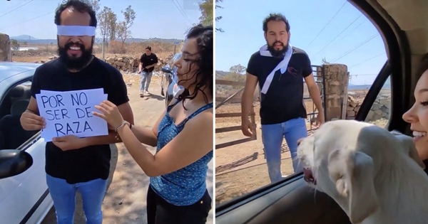 femme abandonne son petit ami à cause de son chien