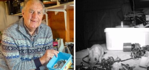 souris range les outils