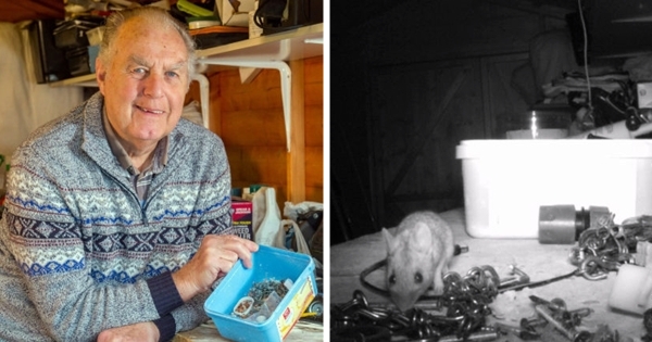 souris range les outils