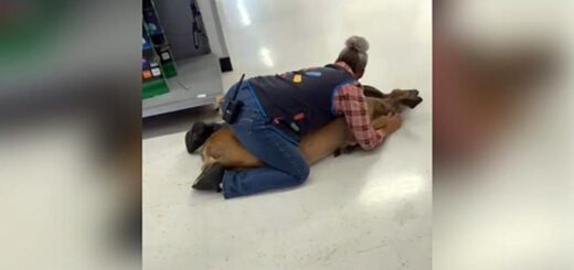 walmart employée biche
