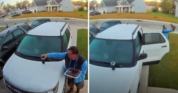 un homme sauve sa femme d'un lynx