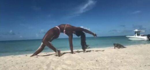 femme est mordue par un iguane