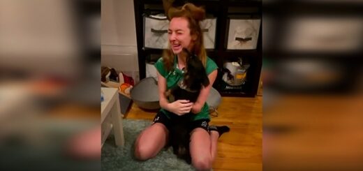 retrouvailles athlète paralympique et son chien