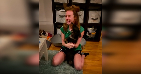 retrouvailles athlète paralympique et son chien