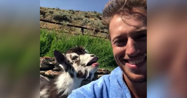 chevreau conversation