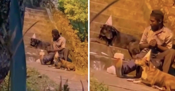 sans-abri fête d’anniversaire chien